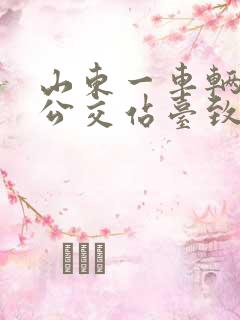 山东一车辆撞向公交站台致多人倒地