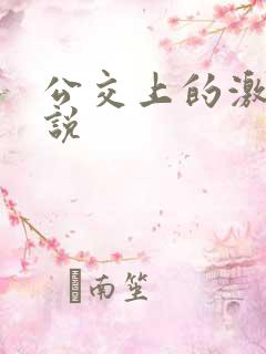 公交上的激情小说