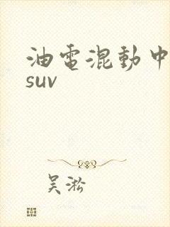 油电混动中大型suv