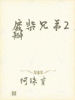 废柴兄弟2 豆瓣