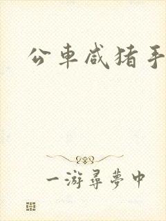 公车咸猪手