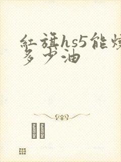 红旗hs5能烧多少油