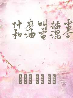 什么叫插电混动和油电混合