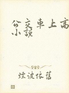 公交车上高潮了小说