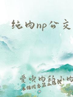 纯肉np公交车