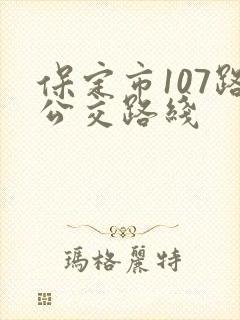 保定市107路公交路线