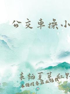 公交车操小说