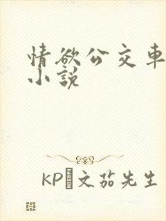情欲公交车系列小说