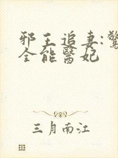 邪王追妻:惊世全能医妃