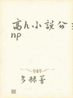 高h小说公交车np