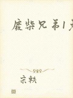废柴兄弟1免费