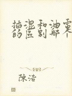 插混和油电混合的区别哪个好