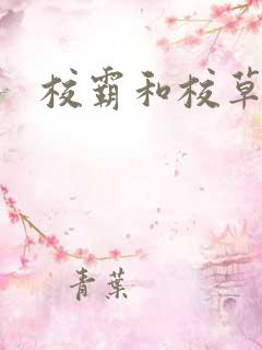 校霸和校草