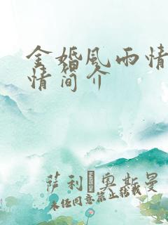 金婚风雨情的剧情简介