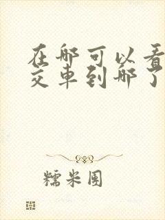 在哪可以看到公交车到哪了