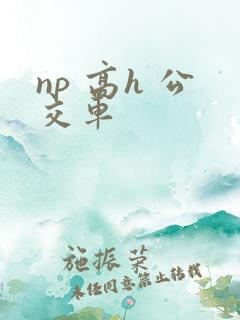 np 高h 公交车