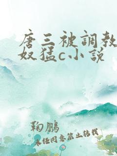 唐三被调教成肉奴猛c小说