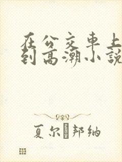 在公交车上被c到高潮小说