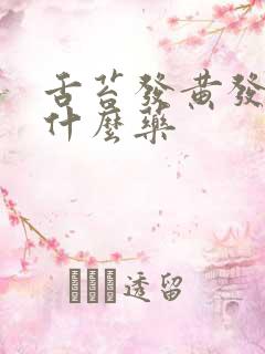 舌苔发黄发苦吃什么药