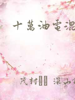 十万油电混动