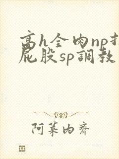 高h全肉np打屁股sp调教