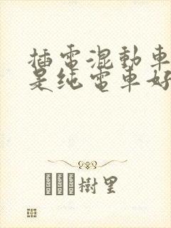 插电混动车好还是纯电车好