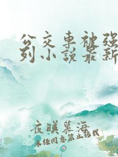 公交车被强d系列小说最新章节