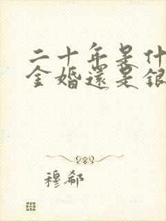 二十年是什么婚金婚还是银婚
