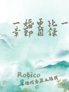 一婚更比一婚高章节目录