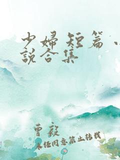 少妇 短篇 小说合集