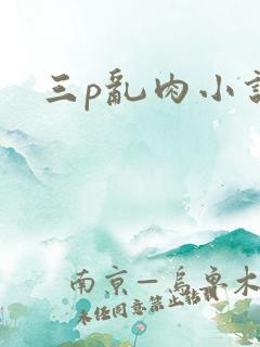 三p乱肉小说