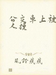 公交车上被陌生人摸