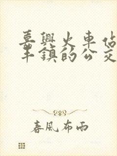 嘉兴火车站到新丰镇的公交车