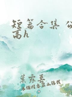 短篇合集 公车高h