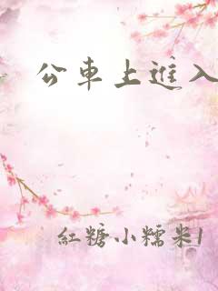 公车上进入小说