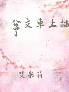 公交车上插进去了