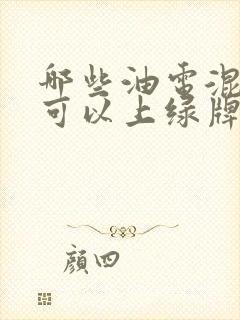 哪些油电混合车可以上绿牌