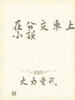 在公交车上被摸小说