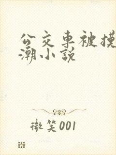 公交车被摸到高潮小说