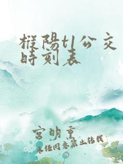枞阳t1公交车时刻表