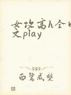 女攻高h全肉污文play