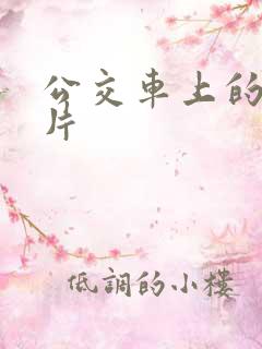 公交车上的一级片