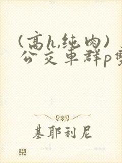 (高h,纯肉)公交车群p双性