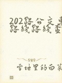 202路公交车路线路线查询时间