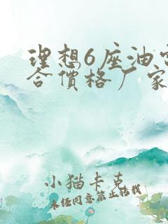 理想6座油电混合价格厂家