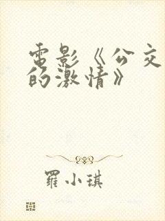 电影《公交车上的激情》
