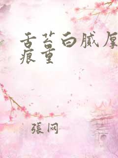 舌苔白腻厚 齿痕重