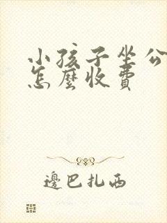 小孩子坐公交车怎么收费