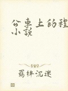 公车上的程雪柔小说
