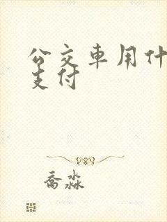 公交车用什么码支付